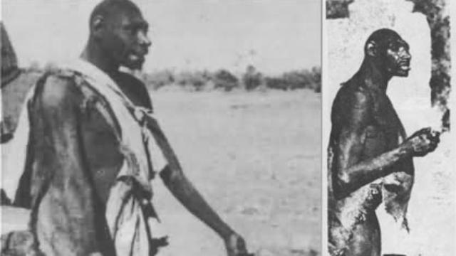 CYu7F4CTPFDetbW9tZJKNeUO 640x360