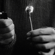 1593190949943 1593190949943