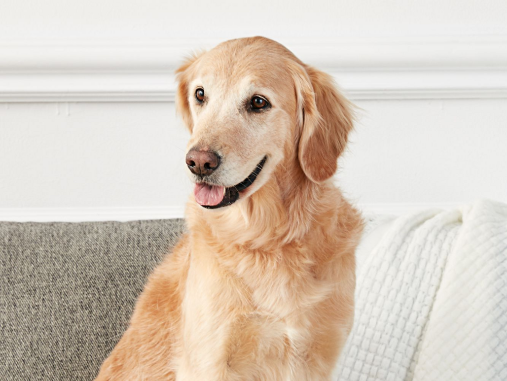 1593261497416 1593261497416