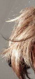 Hair