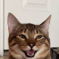 5480