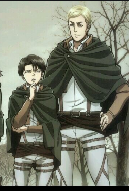 Levi