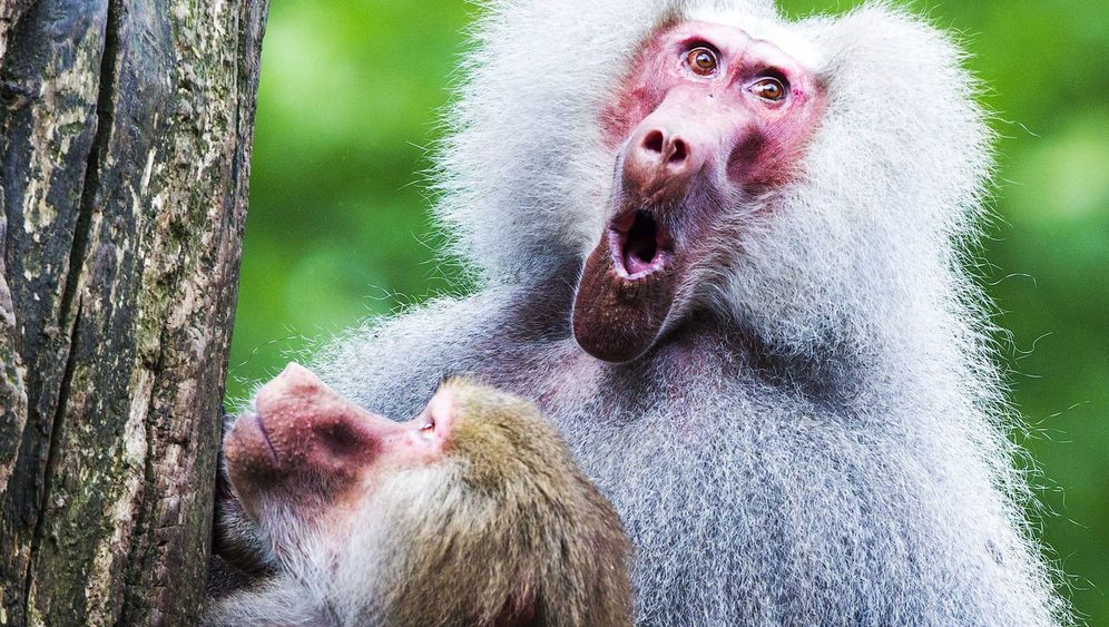 08e53ee8 0001 0004 0000 000000528726 w996 r177 fpx4998 fpy3334 08e53ee8 0001 0004 0000 000000528726 w996 r177 fpx4998 fpy3334