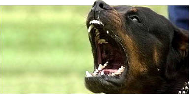 1593526959847 1593526959847