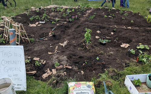 garden.jpg