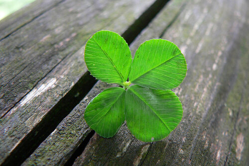 Luck_is..._(explored).jpg