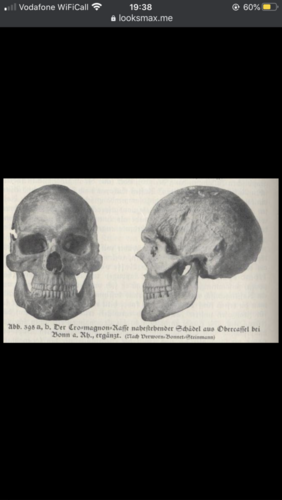 760850BC-E640-4619-AA3F-112D899A560E.png