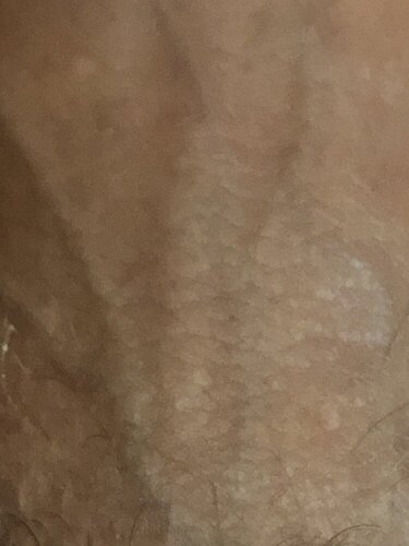 FB339BF0 6786 4F4E 9F30 B2FDD94484CD