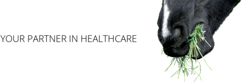 1592703050562.png