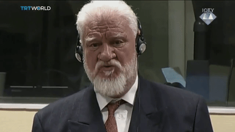 AdorableAggravatingCaimanlizard size restricted