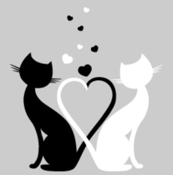 Love Cats with Heart 12