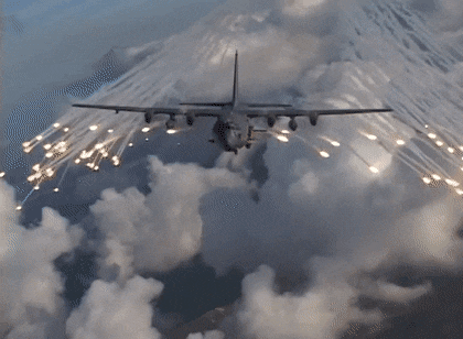 MiniatureFluffyGangesdolphin size restricted