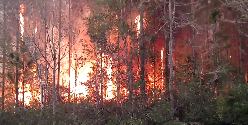 1A84EFBF 7A32 45BC A5BD 2A8BC5BC7A93