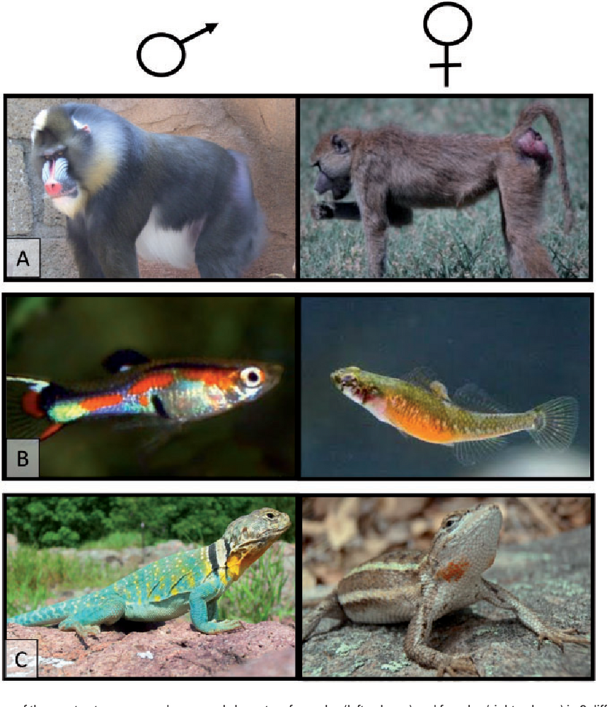 3 Figure1 1