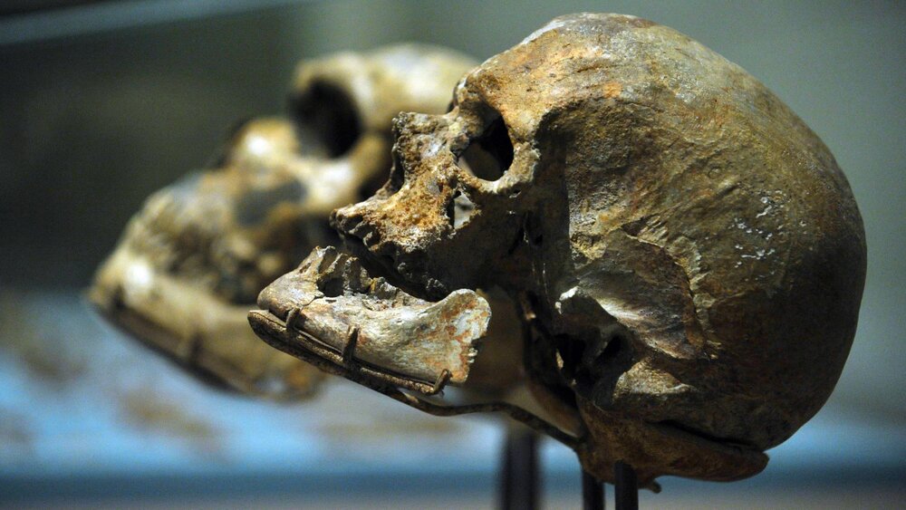 Gettyimages 97803306