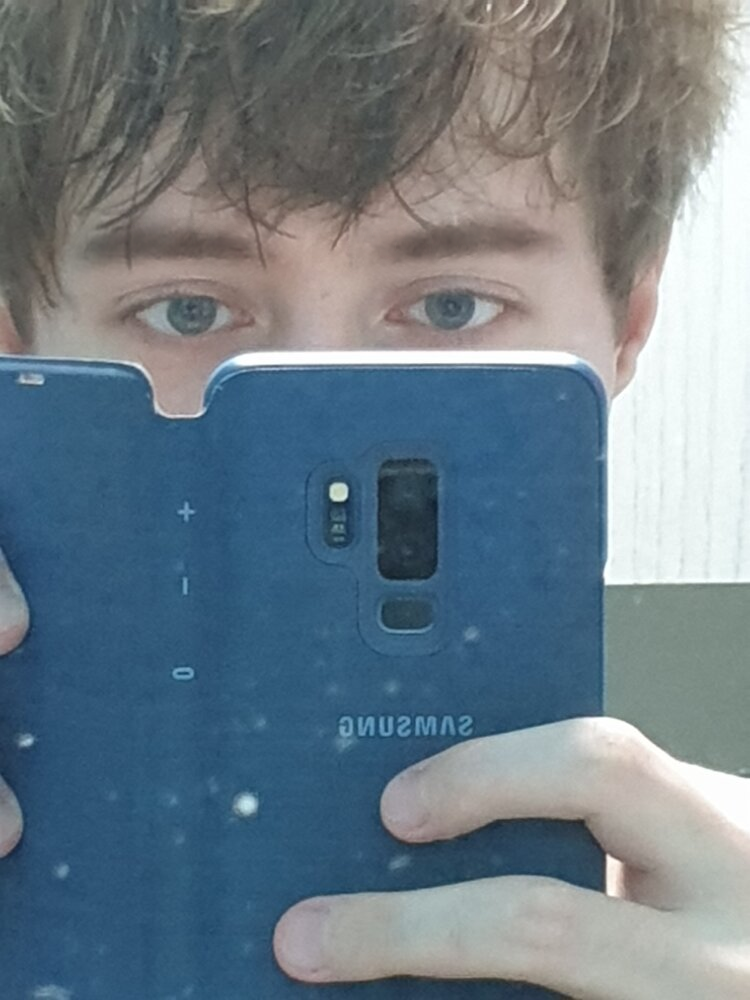 Eyebrows