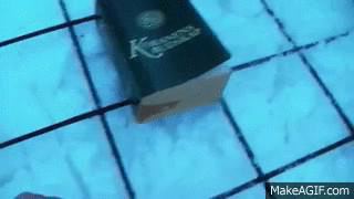 ZpwGg6