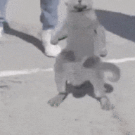 6823