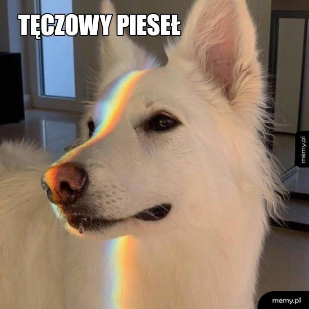 5d132e1e3f24a o
