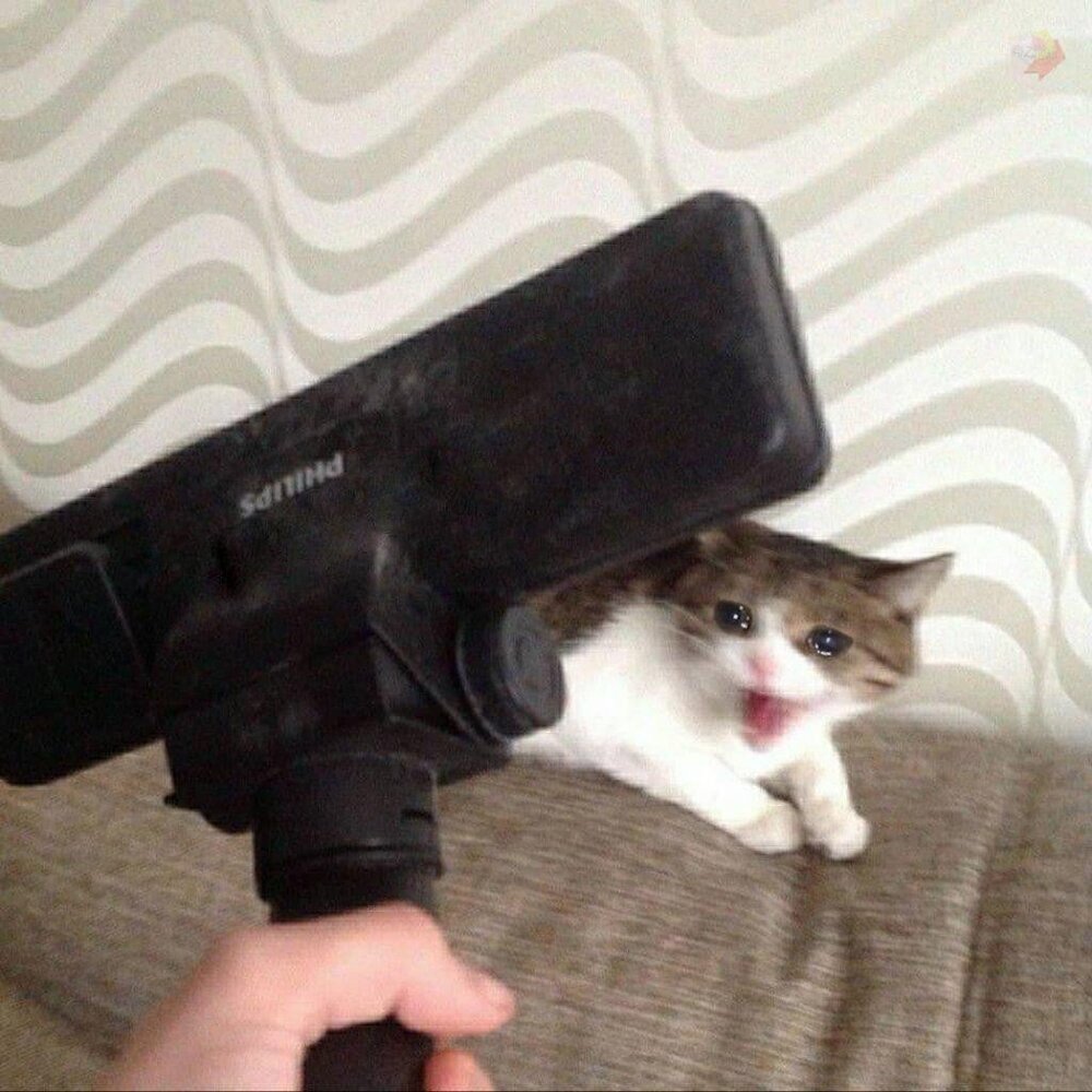 R8p5vhwhzmy31