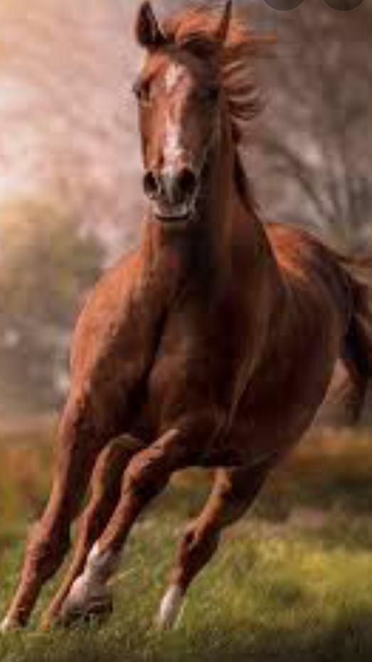 5A55247D 8885 4254 9AD3 6355512C51BC