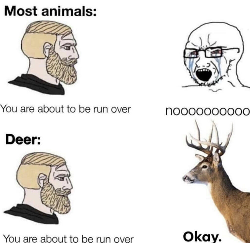 641800B9 8E33 460B B6B5 7A0FA4DCA276 641800B9 8E33 460B B6B5 7A0FA4DCA276