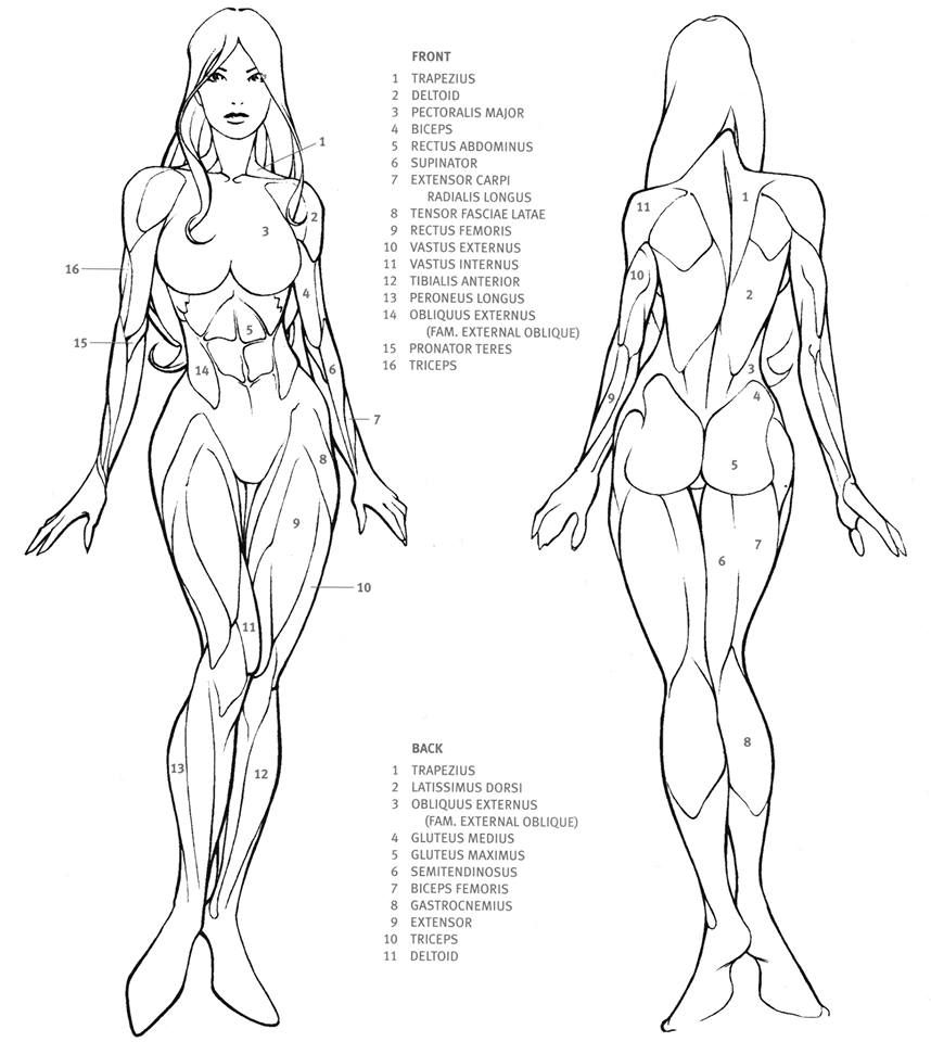 Body paint template
