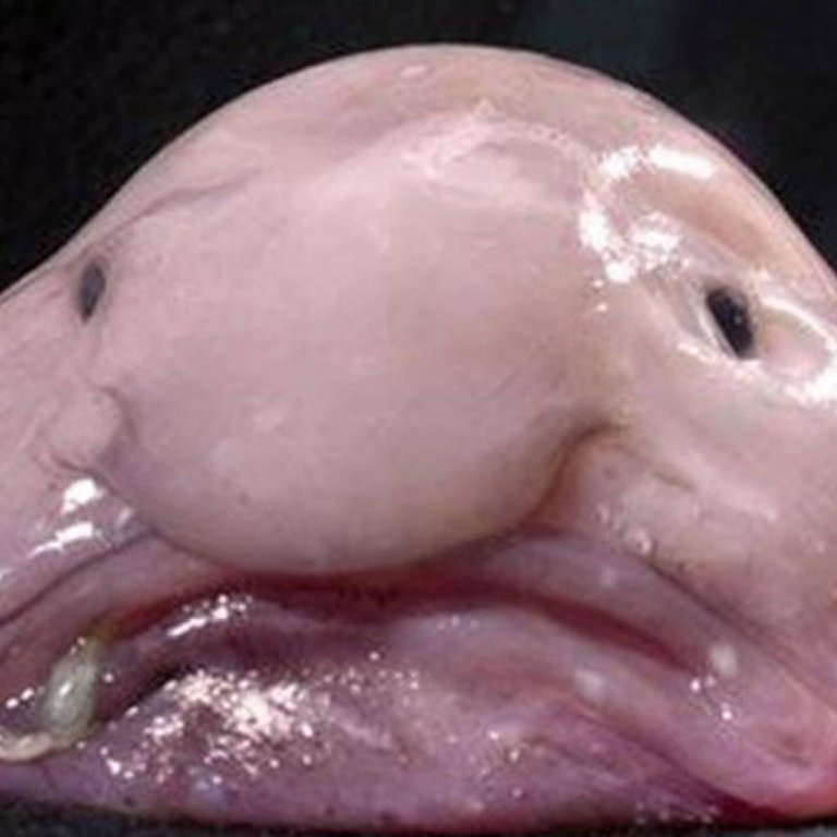 606848f1c9b265023c70e0cb84a99e42