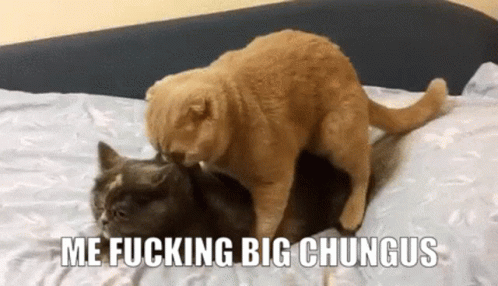 Chungus Chungus