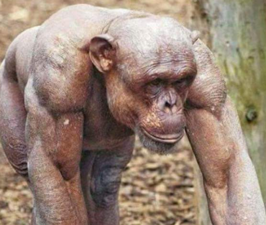 Chrome 2020 06 19 14 02 35