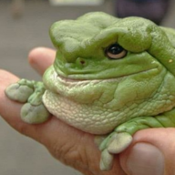6873