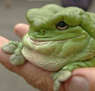 Chrome 2020 07 02 00 05 46