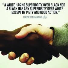 07357DA2 1A16 41B7 B70B 03CDE875E530