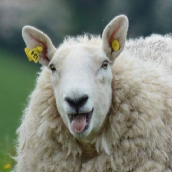 D8B38818 7D99 4711 A33D 9E45600FE95A