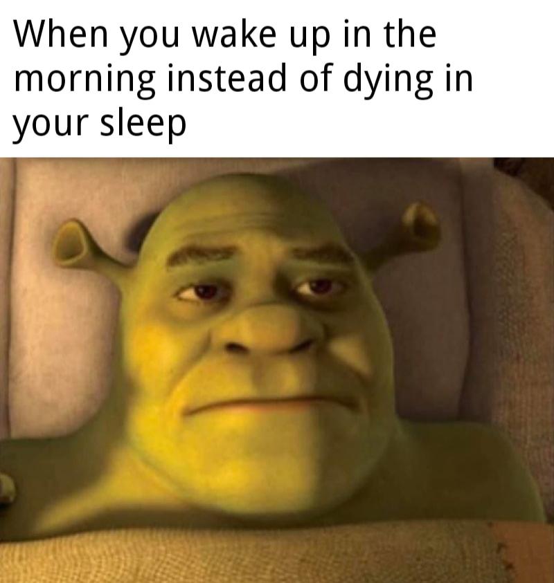 7hrqxexeo3851