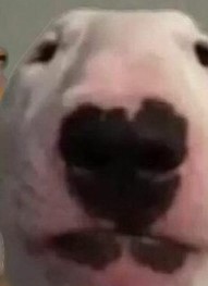 72332