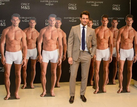 126394PCN Gandy141cut