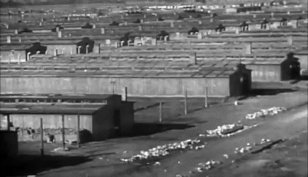 AliveOrneryBlackpanther size restricted