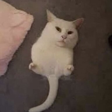 4066