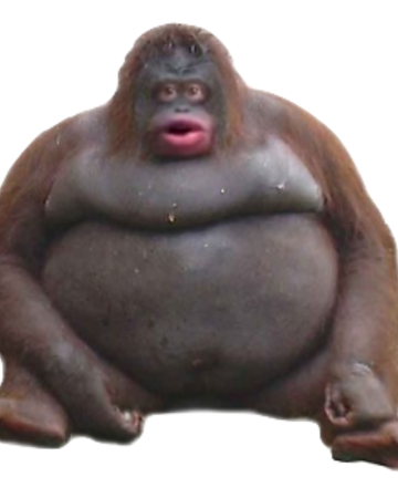 Monky