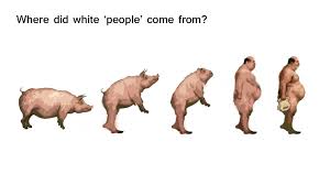 0591FD89 C06F 422F A779 910A70165CB9