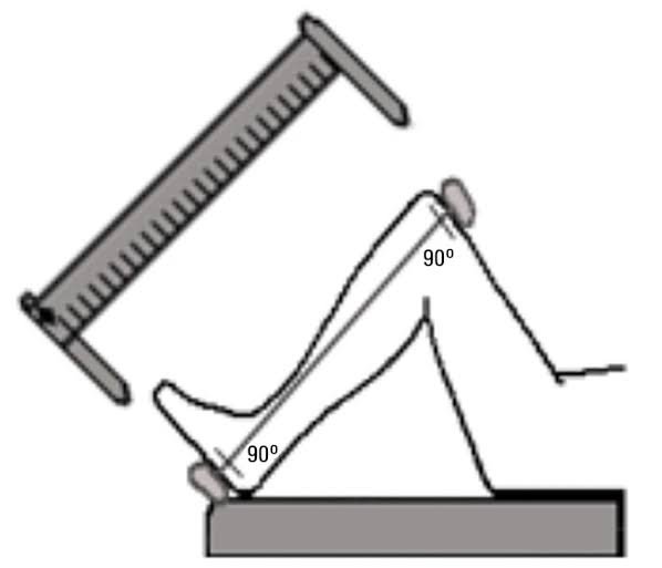 Images   2020 07 12T073730352