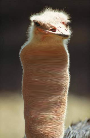 Kipchad