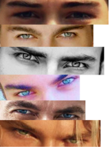 300px Hunter Vs Prey Eyes2