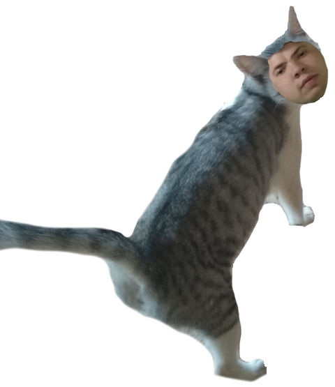 Catlossus