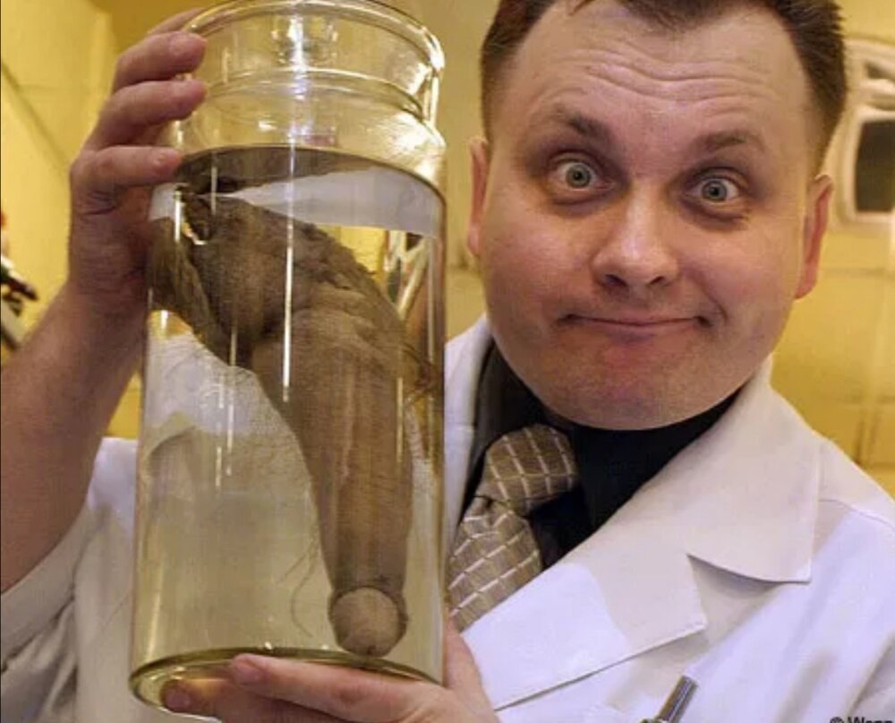 Screenshot 20200716 213913