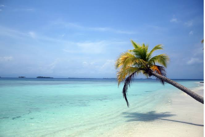 8E0A14E5 C4CC 4E62 AD37 E54AFB1537FD