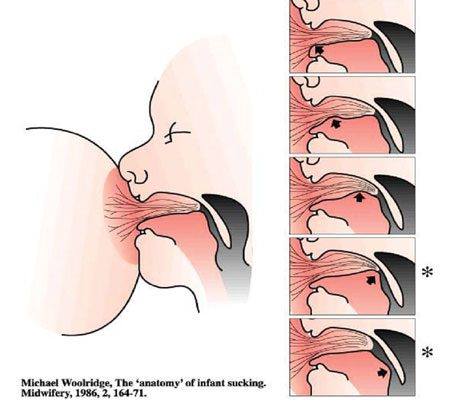 27540702 1800585216639301 7408044114529482338 n