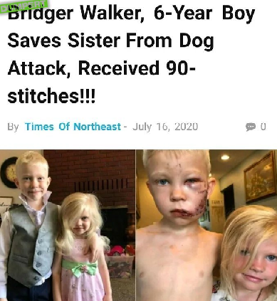 1595013951928