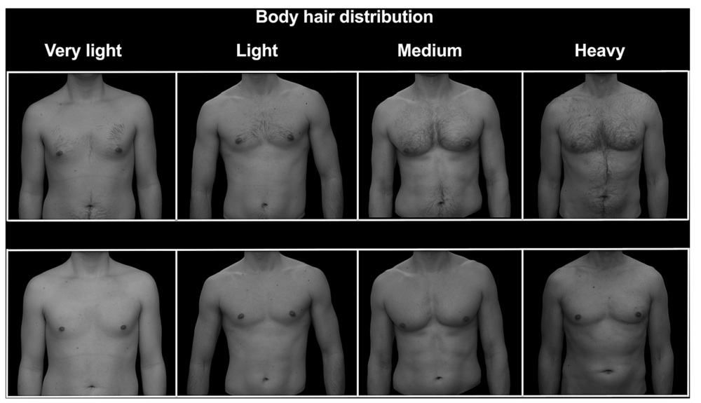 Captura de Tela 2020 07 18 as 182051